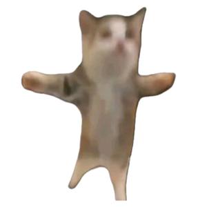 悠闲微风Y头像