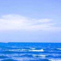 缘起七零七头像