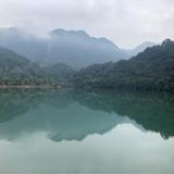 大山里的大肥羊头像