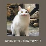 Extremefear头像