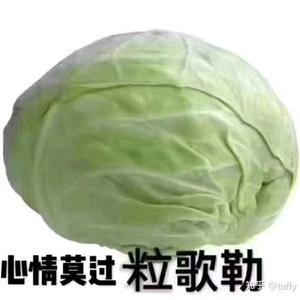 小蜥蜴爱放送头像