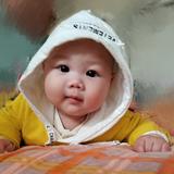 ZQS583头像