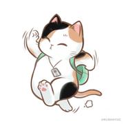 安菁的个人资料头像