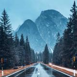 独坐楼台静观雨头像