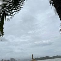 井蛙可游海头像