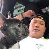 强子8z8l头像