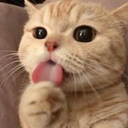 一步步的走的个人资料头像