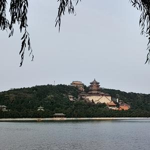 海昌爱音乐头像