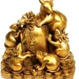 徐富金头像