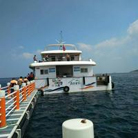 用户4142587020321831头像