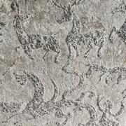 赖皮蛇的个人资料头像