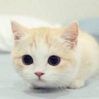 快乐成长2022头像