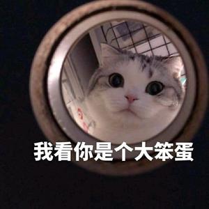 狐狸头像