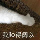 一群河豚头像
