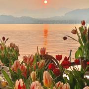 Tiam293的个人资料头像