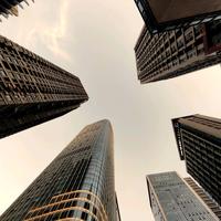 一点都不万能的小黑头像