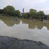 用户8106793854880头像