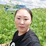 阿木头像