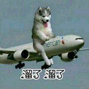 nija的个人资料头像