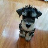 谁灬借个微笑头像