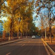 Jellyfisher的个人资料头像