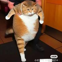 把酒言欢醉酒当歌头像