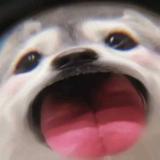 小绿7181头像