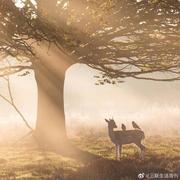 mySelf的个人资料头像