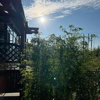 特斯拉换挡拨片头像