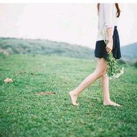 乖胖是只猫头像