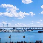 阳寜的个人资料头像