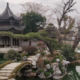 龙牛889头像