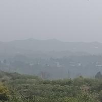 小桥流水98130头像