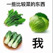 酸菜鱼儿的个人资料头像