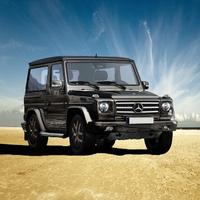 虎子151246056头像