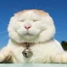 Wss105272的个人资料头像