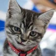 混个点而已的个人资料头像