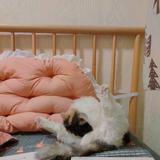 顺耳756头像