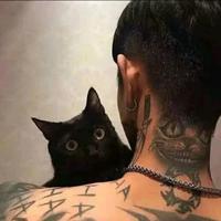 用户4876394800226头像