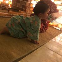 灰灰的后花园头像