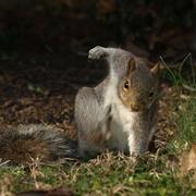 waityam的个人资料头像