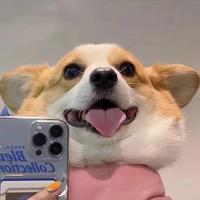 今晚出嚟宵夜头像