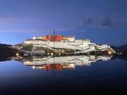 cctigl的个人资料头像