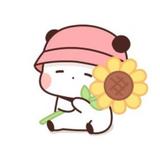 徐丽娜803头像