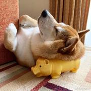 拜特尔曼的个人资料头像