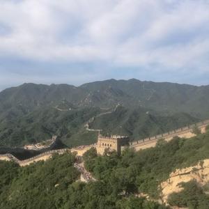 林头像