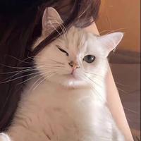 对方正在输入5995297557568头像