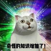 独上九天揽月兮_的个人资料头像
