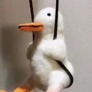 evan_Sky的个人资料头像