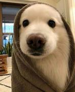 DKNG的个人资料头像